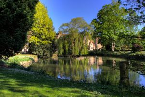 the pond and tress at the Priory